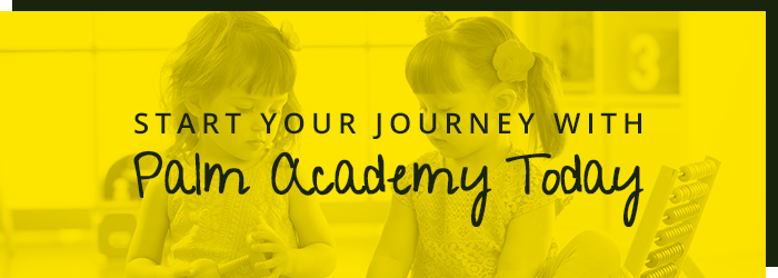 Start your journey with Palm Academy Today