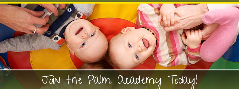Join the Palm Academy Today!